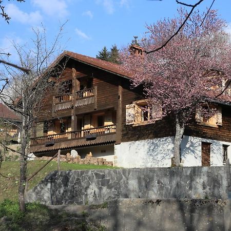 Sous Les Ecotagnes Villa Les Villards-sur-Thones Bagian luar foto