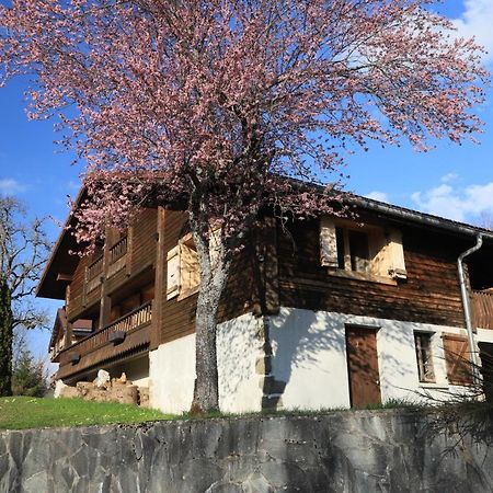 Sous Les Ecotagnes Villa Les Villards-sur-Thones Bagian luar foto