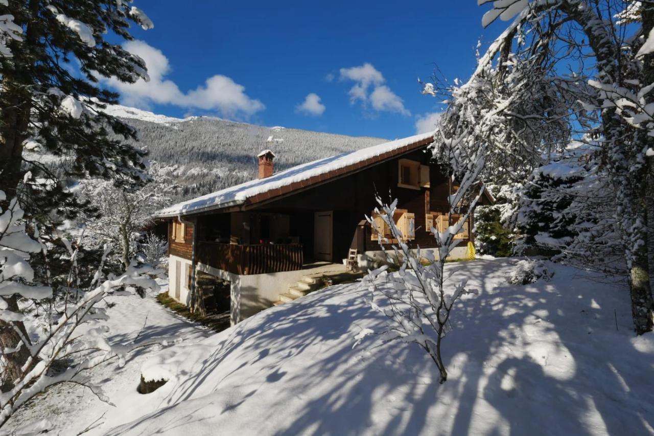 Sous Les Ecotagnes Villa Les Villards-sur-Thones Bagian luar foto