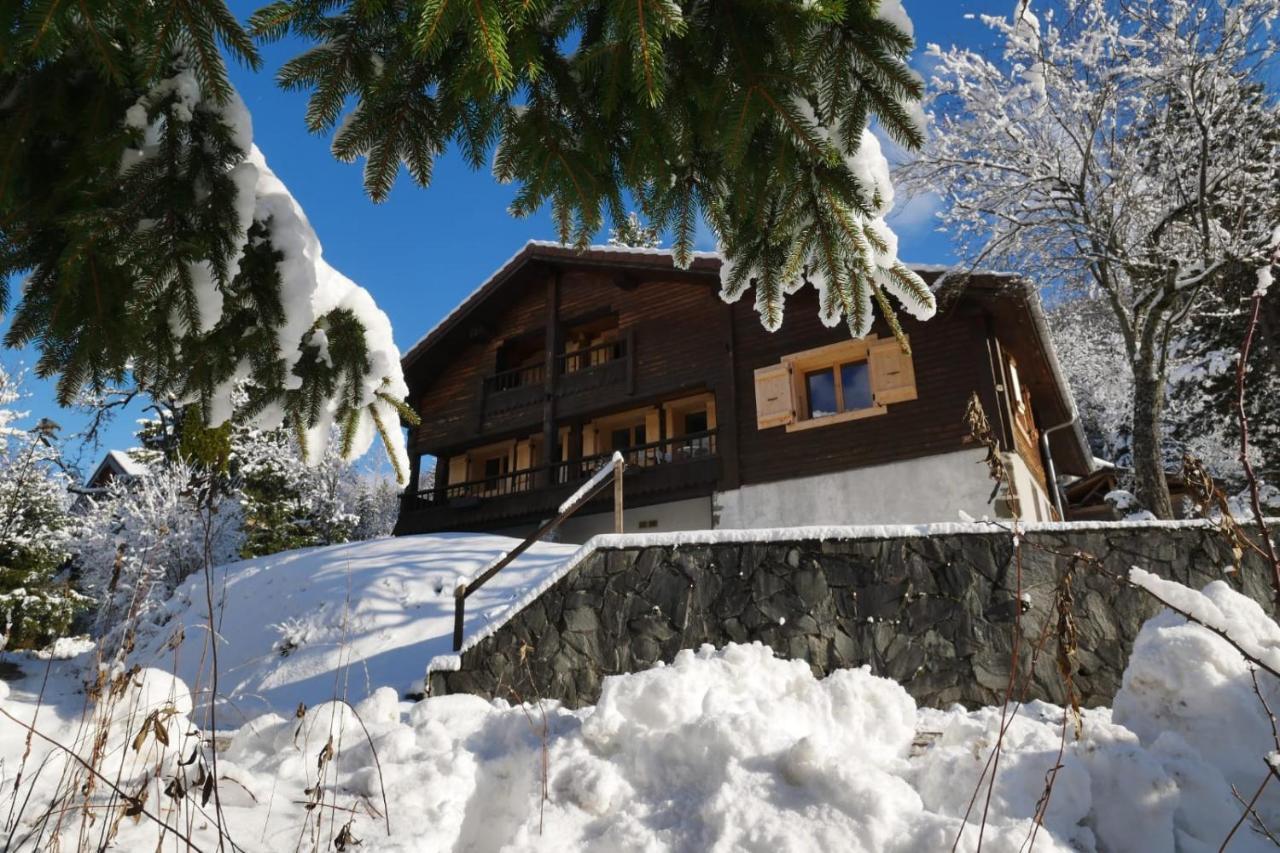 Sous Les Ecotagnes Villa Les Villards-sur-Thones Bagian luar foto