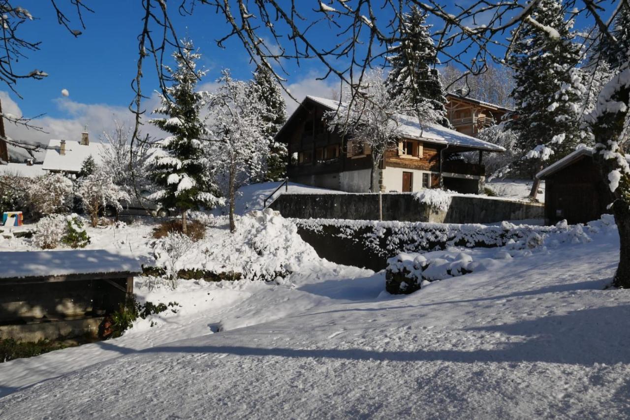 Sous Les Ecotagnes Villa Les Villards-sur-Thones Bagian luar foto