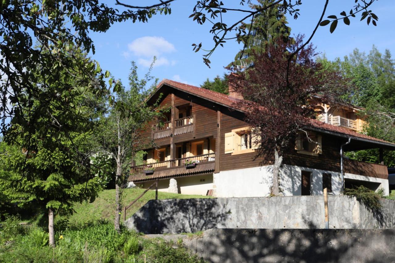 Sous Les Ecotagnes Villa Les Villards-sur-Thones Bagian luar foto