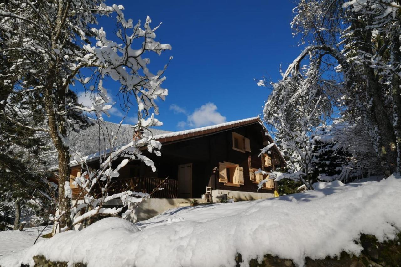 Sous Les Ecotagnes Villa Les Villards-sur-Thones Bagian luar foto