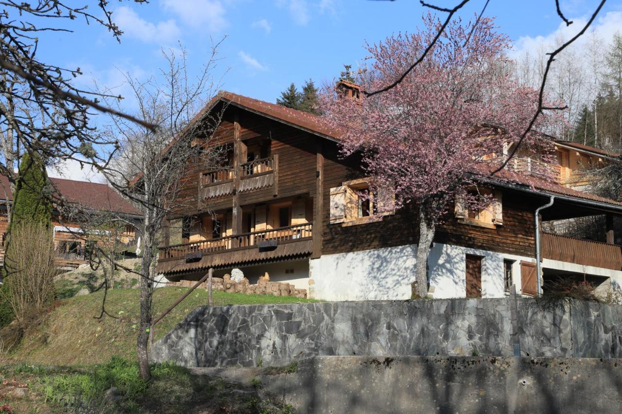 Sous Les Ecotagnes Villa Les Villards-sur-Thones Bagian luar foto