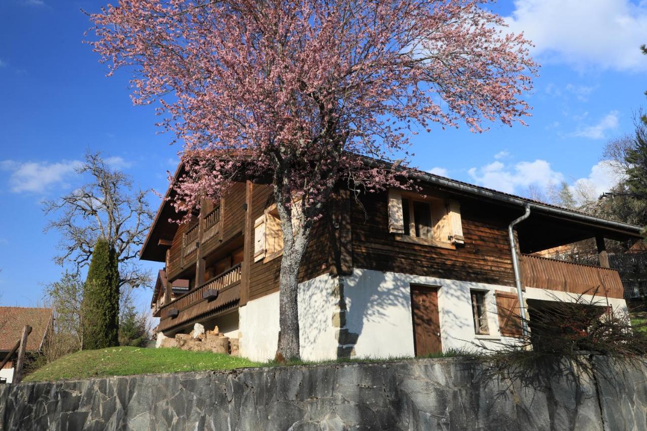 Sous Les Ecotagnes Villa Les Villards-sur-Thones Bagian luar foto